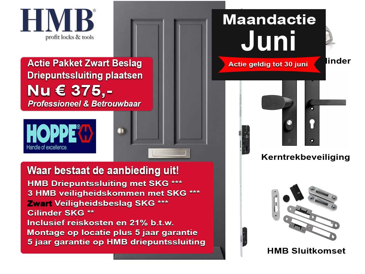 driepuntssluiting zwart beslag